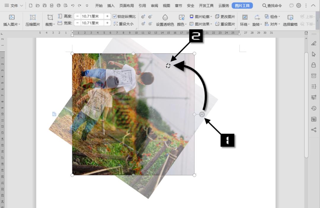 WPS技巧：调整图片格式