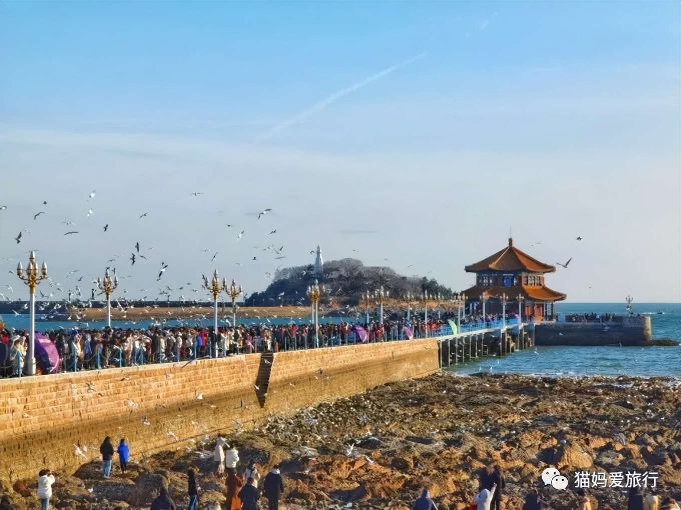 5天“趣”玩青岛，我的私藏遛娃路线