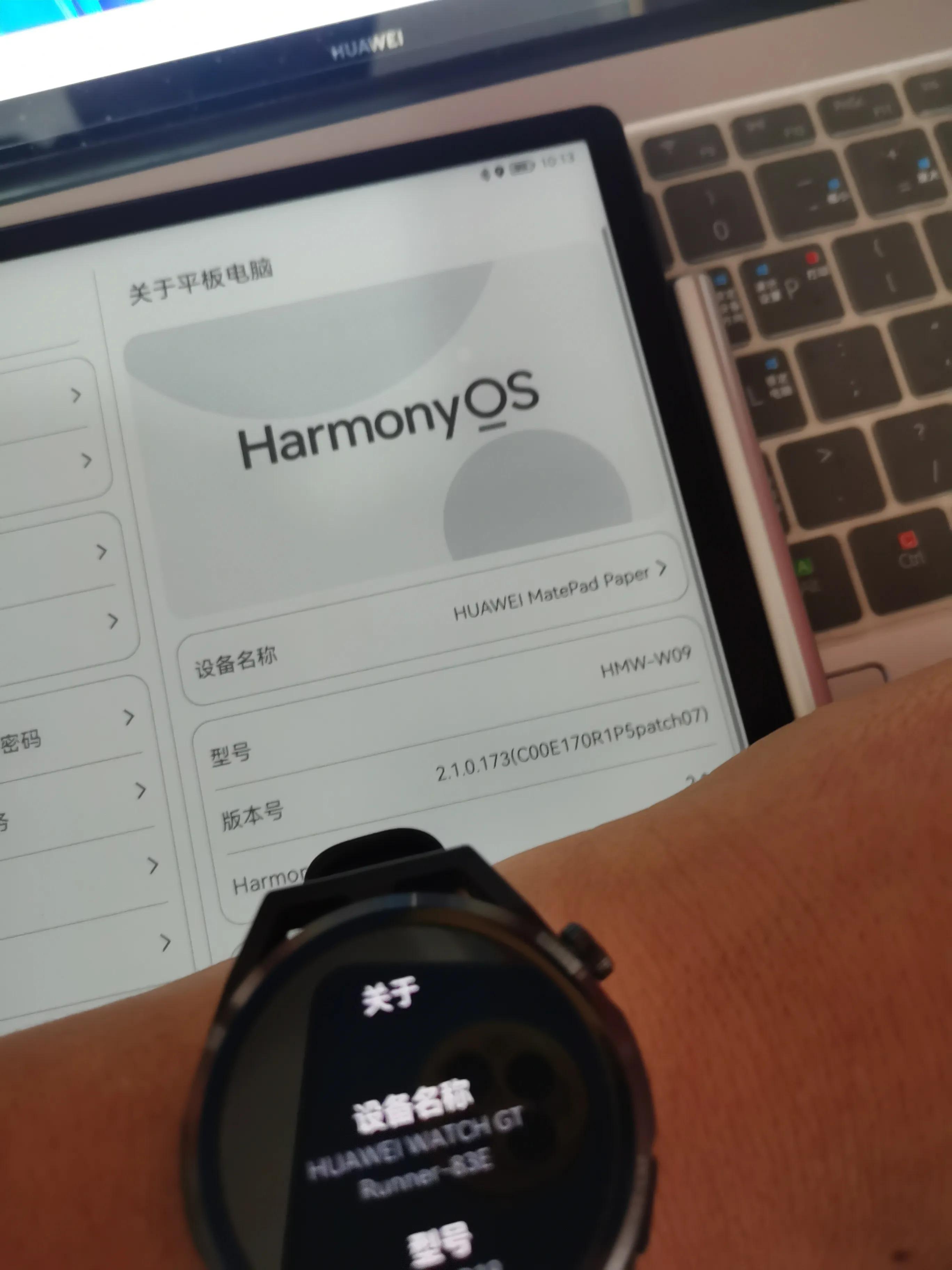 华为pockets的目标市场分析,华为pockets首日销量