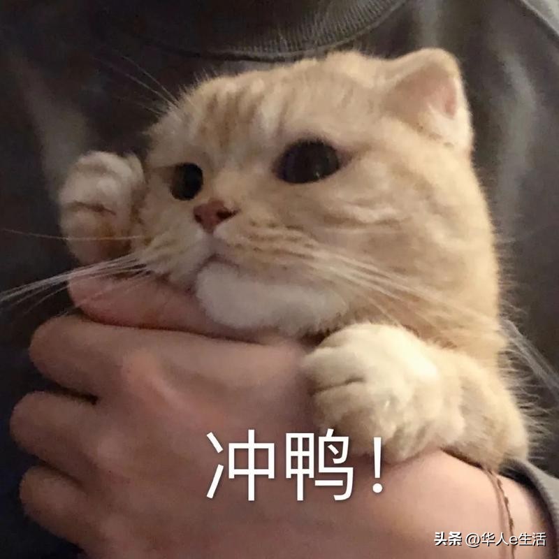 俄罗斯MTS卡最全解答：话费流量充值查询、激活、漫游等常见问题