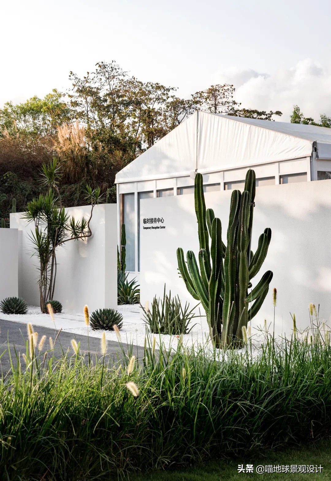 热带风情的庭院别墅,庭院大型热带风情绿植