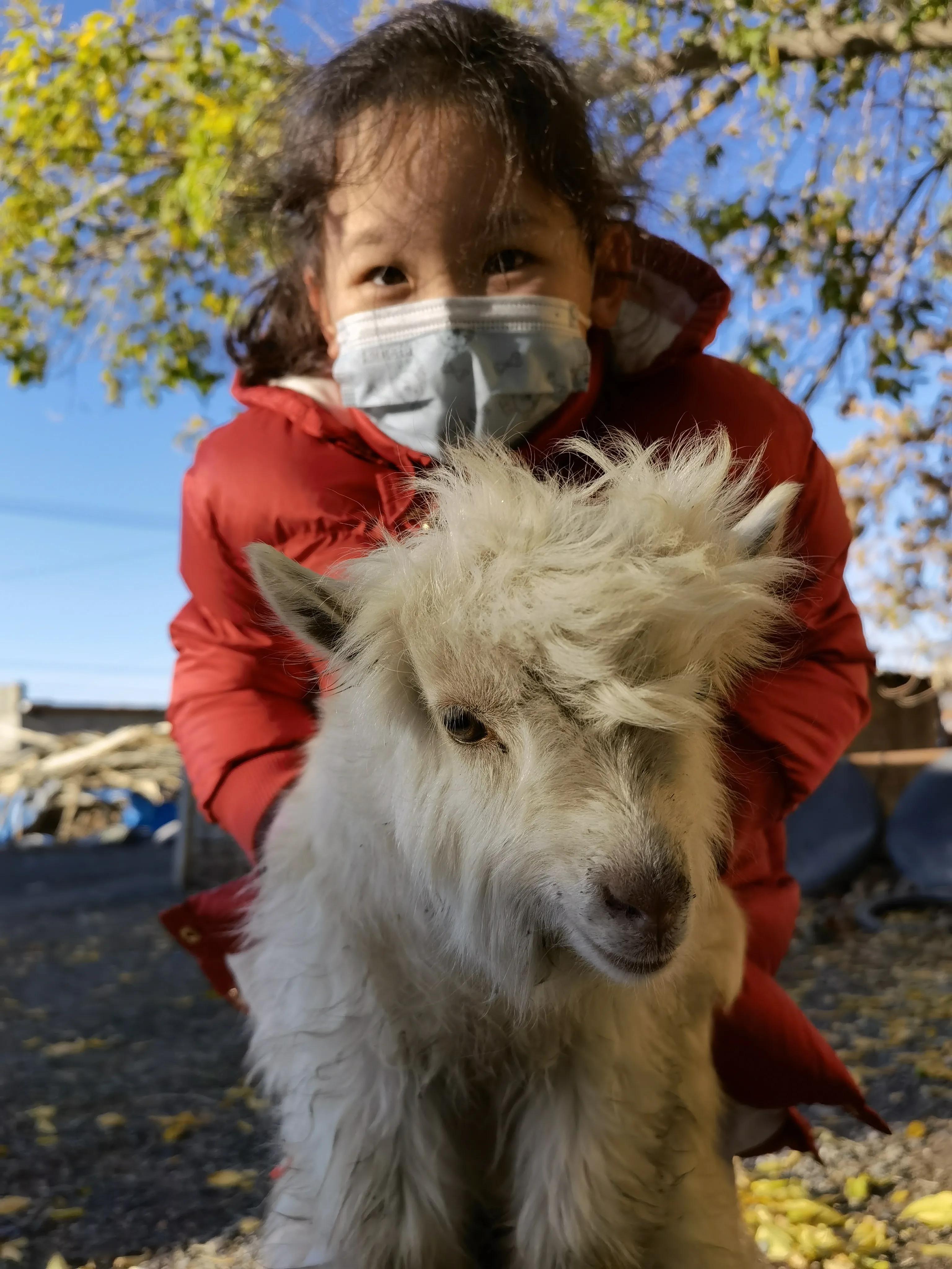 我的快乐日常西安完整版,我的快乐日常文案