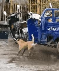 老婆不知去哪买的这衣服，刚进家门就给我吓了一身汗，好尴尬