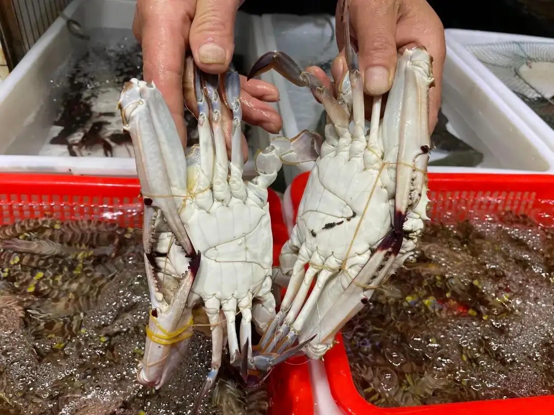 一招学会挑肥美梭子蟹,买梭子蟹攻略