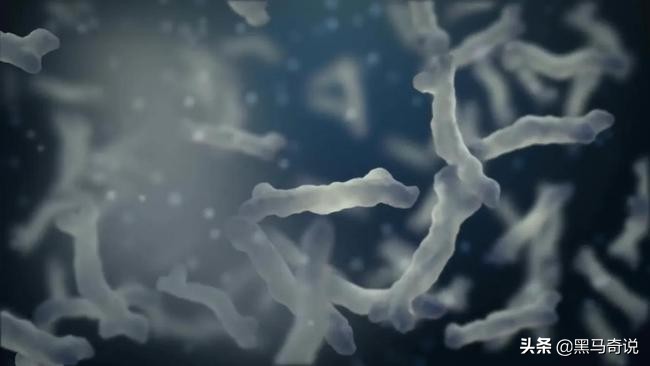 北极发现几万年前尸体人类需警惕,北极冻土发现史前生物是真的吗