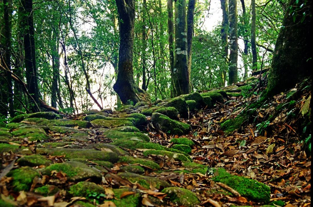 昆明七彩云南怎么样,七彩云南避暑家园