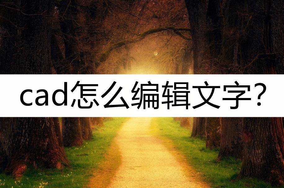 CAD怎么编辑文字,cad图框成块可编辑文字是怎样做的