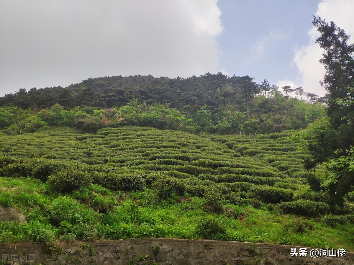 农村有句老话叫人穷别走亲,农村俗语人穷少说话位低别劝人