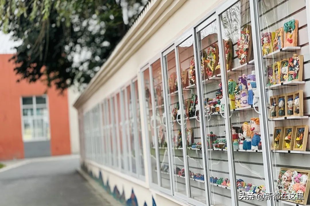 点赞！省级示范名单公布，新都5所学校上榜！