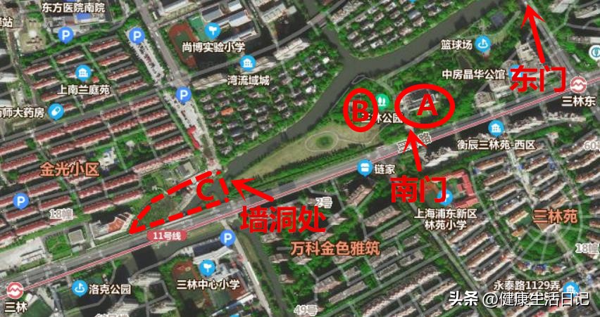 上海三林的公园,上海浦东三林公园在哪里