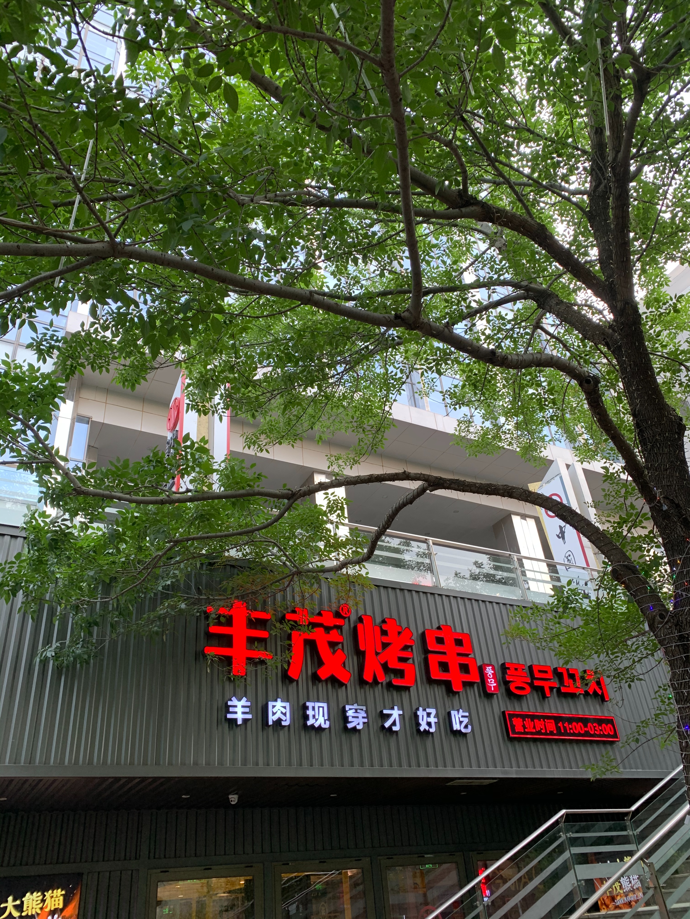 罗永浩丰茂烤串,罗永浩丰茂