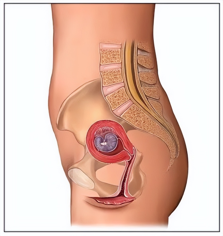 孕妈妈不同的阶段应该注意什么,孕妈妈的症状