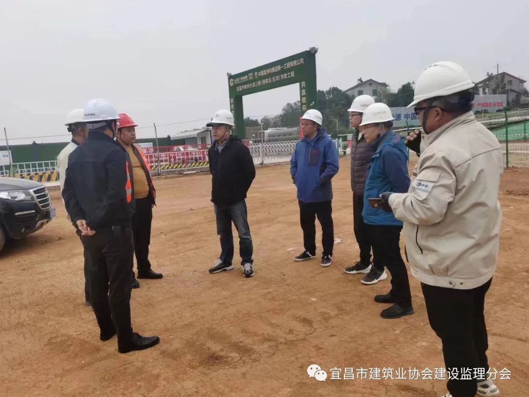 监理专项整治三年行动方案,监理专项巡视检查