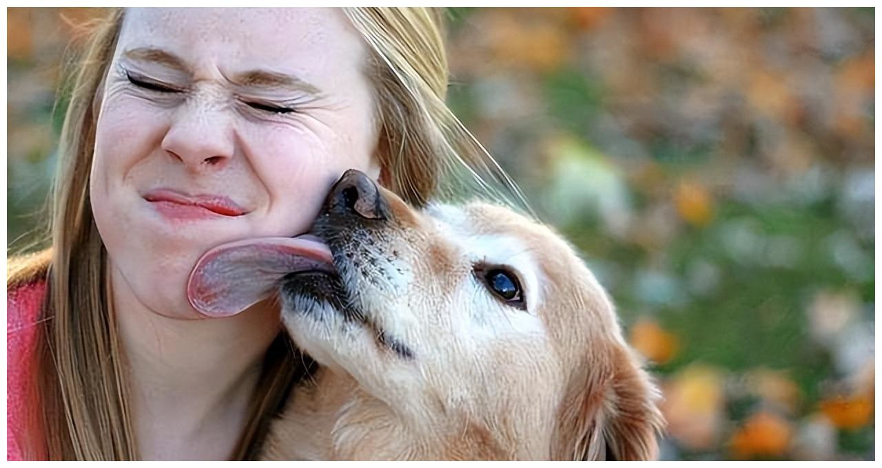 养狗才知道乐在其中,养狗时间长了狗会懂主人的意思