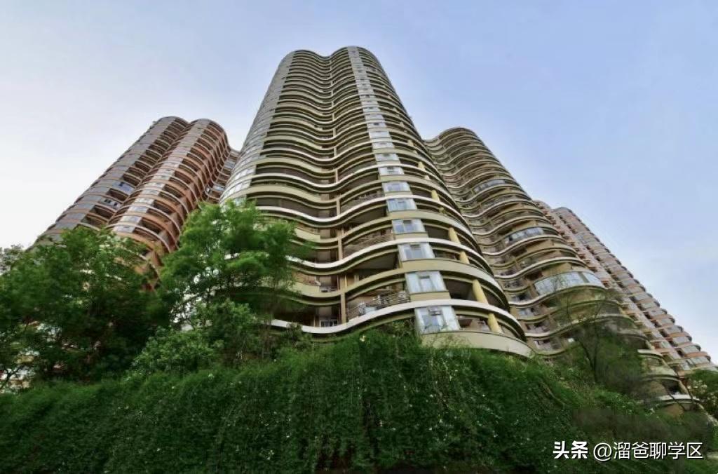 提前一年落户能读桂雅路小学吗,提前一年落户的学校