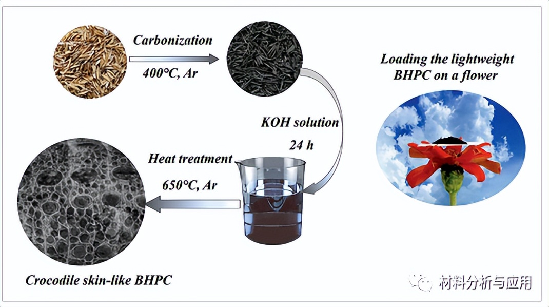 西安建大：废弃稻壳制备鳄鱼皮状多孔碳，用于高性能微波吸收