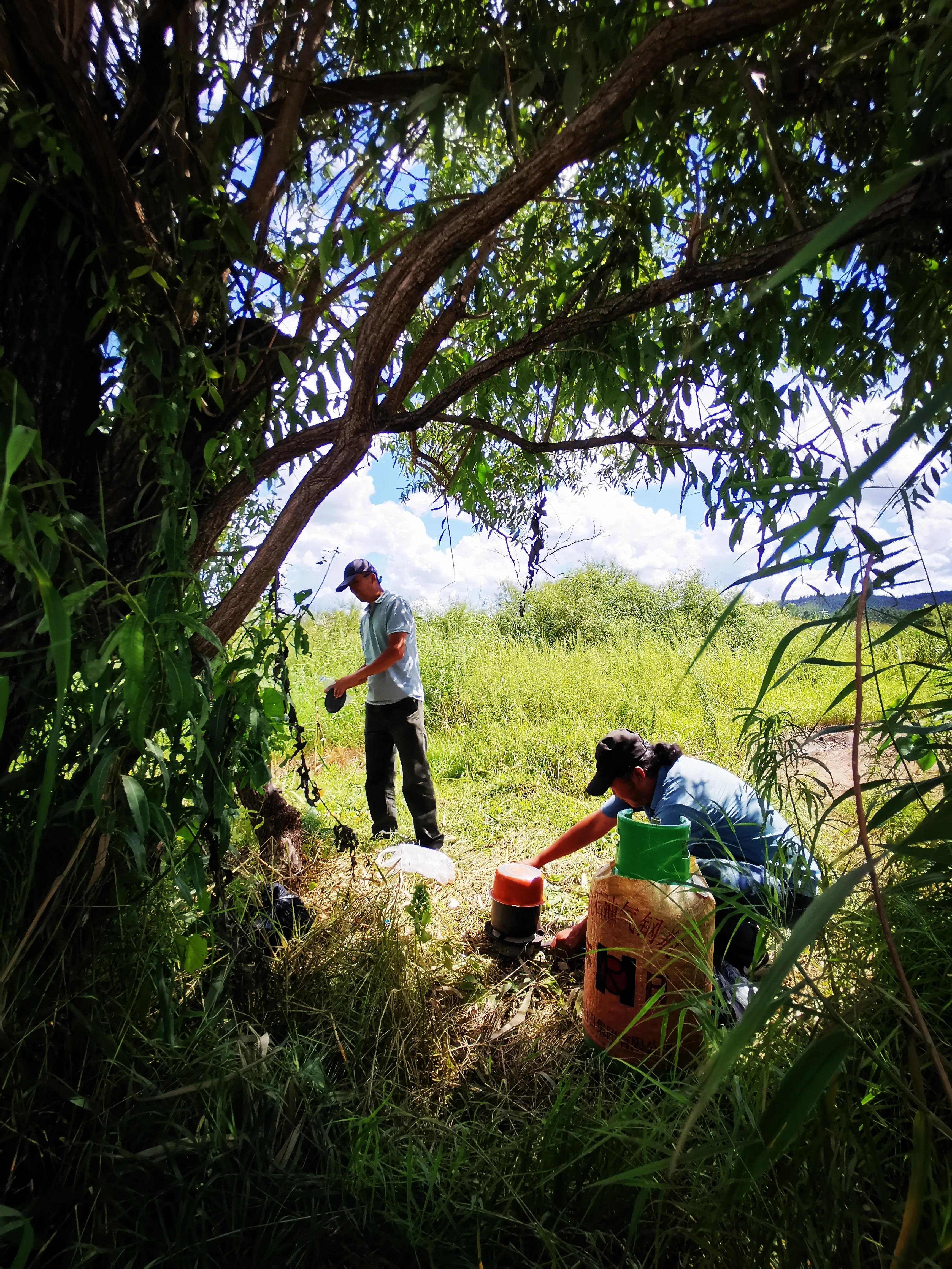肖景志评论家,肖景志油画作品