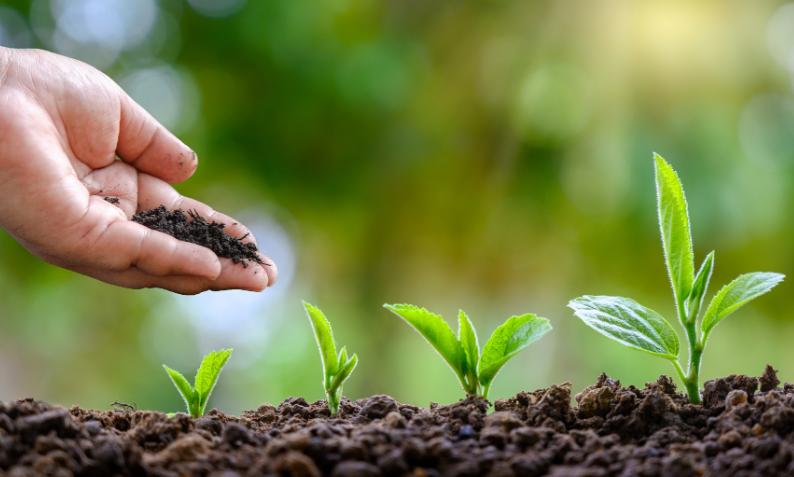 农业可持续性发展的理论与实践,农业技术创新推动农业现代化发展