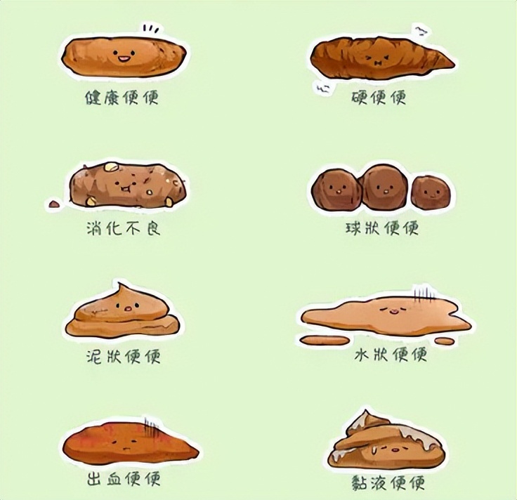 狗狗腹泻但是精神很好怎么回事,狗狗腹泻呕吐白色的泡沫粘液