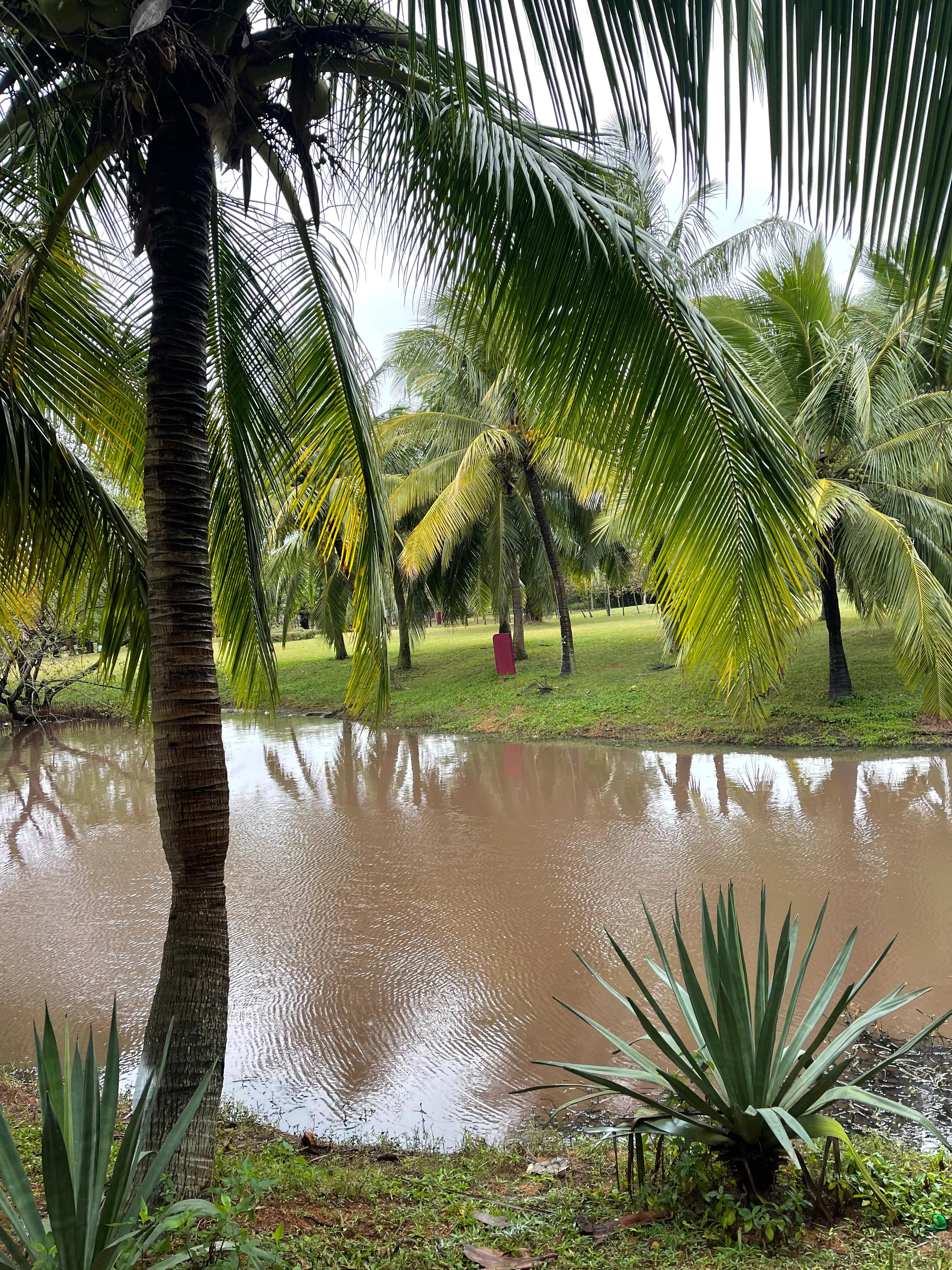 环海南岛自驾风景,环海南岛旅行路线