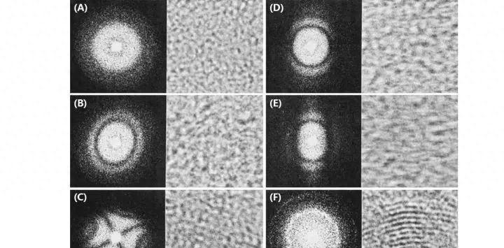 tem新手教程,tem上色