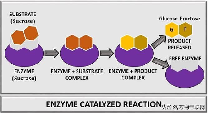 生物化学原理,生物化学入门教程