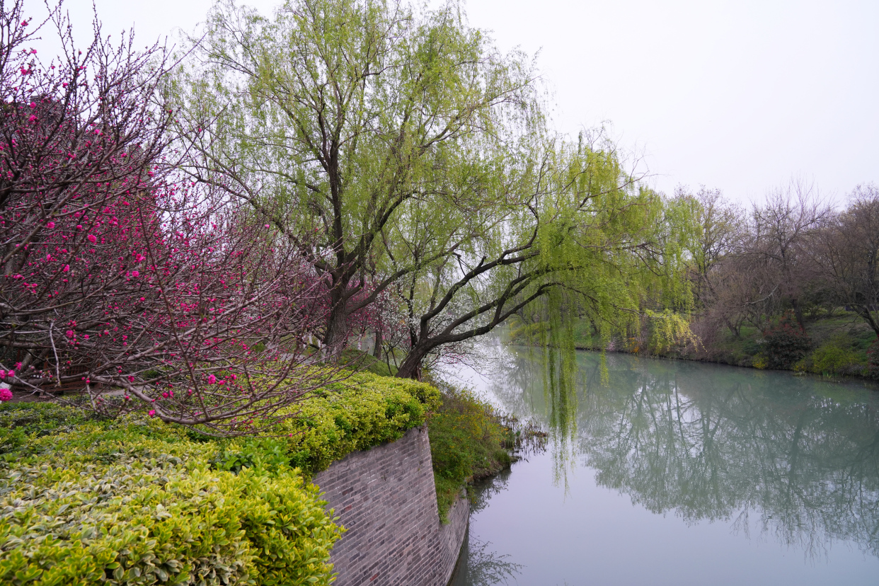 扬州值得去的森林公园,扬州十大免费公园