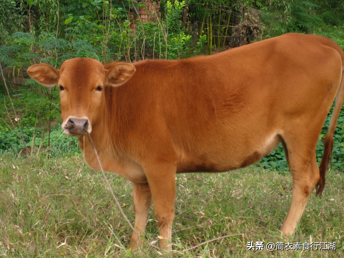 她做保姆这些年－豪门生活之沉醉其间（494）