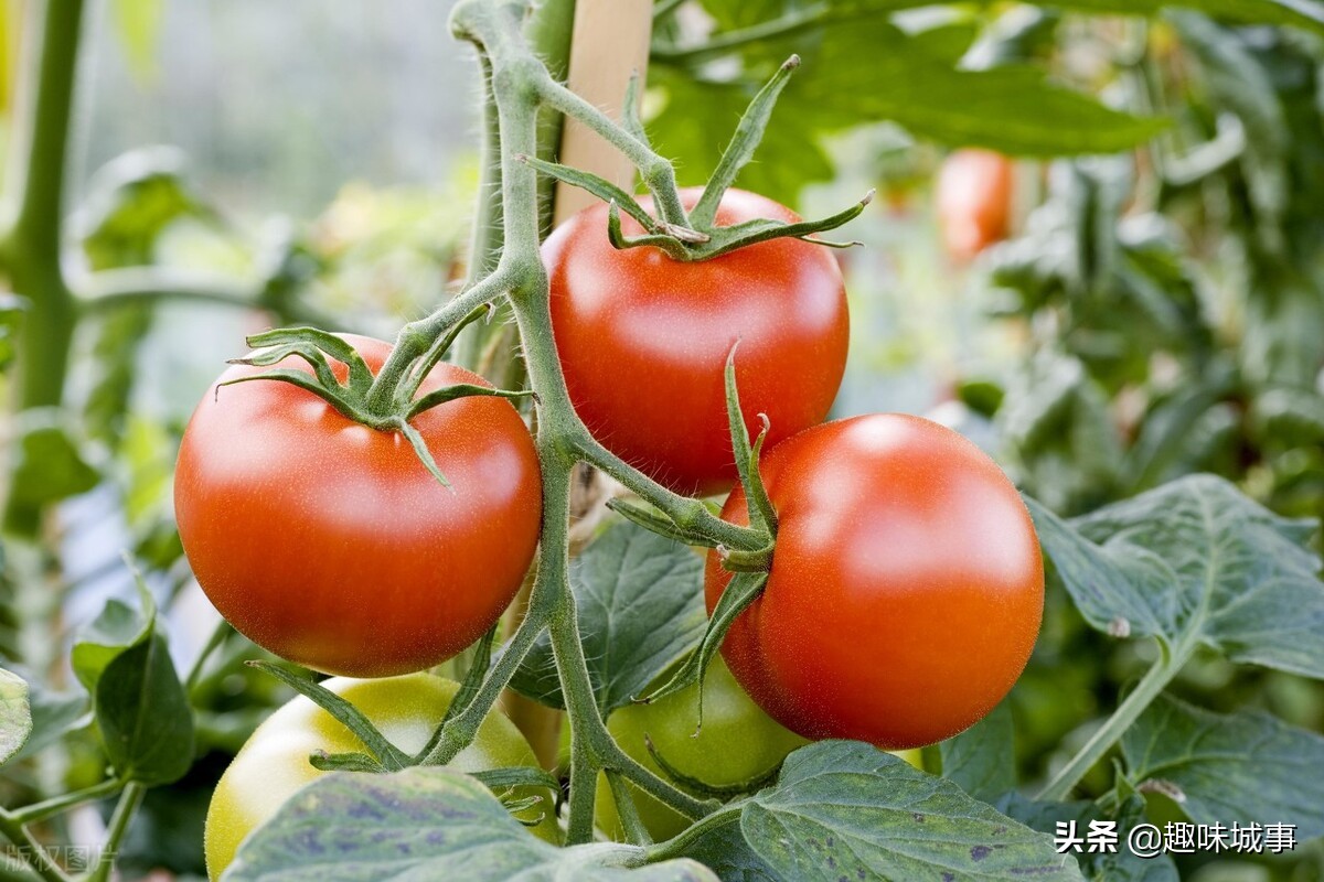 喝什么牛奶可以美白又不会变胖,美白有效方法吃的或喝的