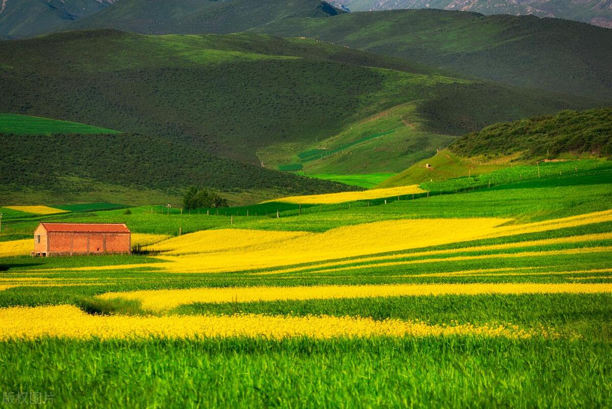 工伤左脚234跖骨骨折能评上伤残吗,跖骨骨折一般赔几个月误工费