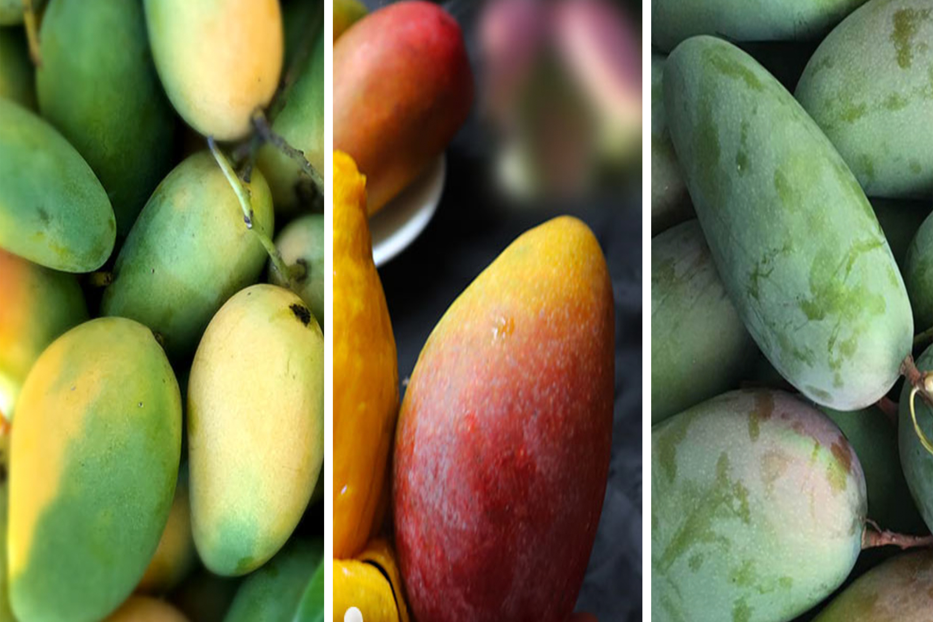 同样都是芒果，小台芒、贵妃芒、金煌芒哪个更好吃？它们有啥区别