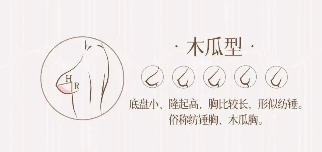 杨幂这身材绝了,这些胸部相关的小知识你一定要知道