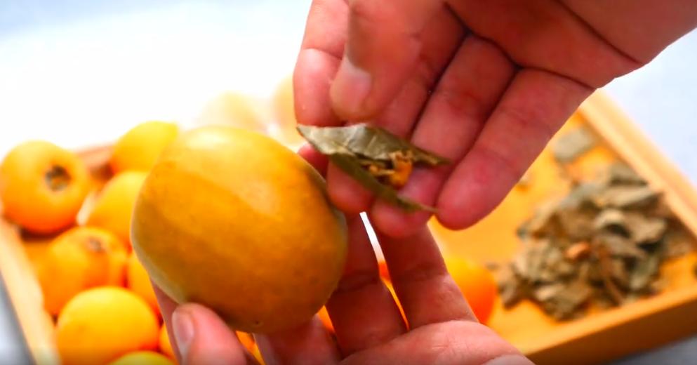 润肺养肺的食物老年人,一岁养肺补肺的食疗方法