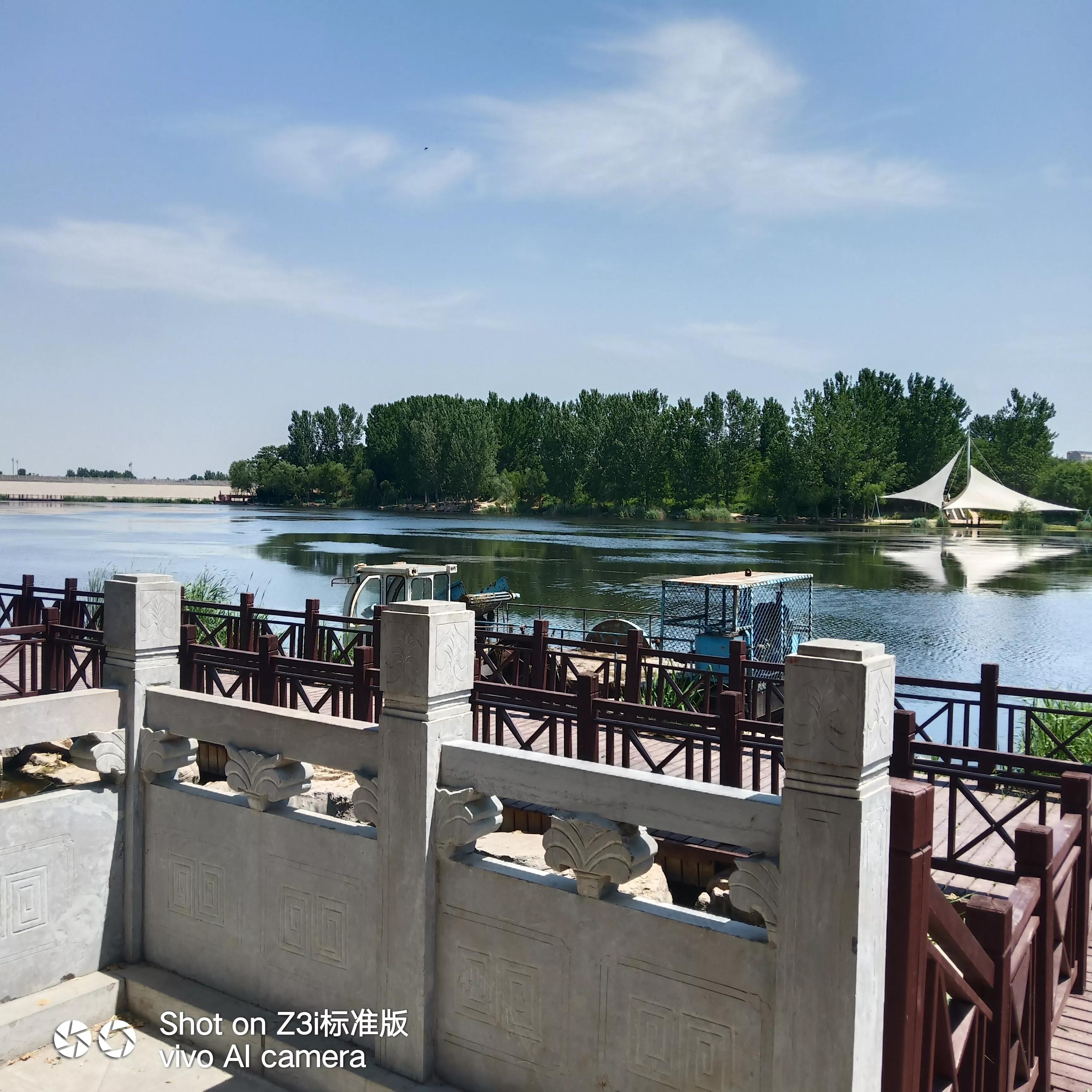 我的英语老师初中版,我的英语老师作文300字三年级