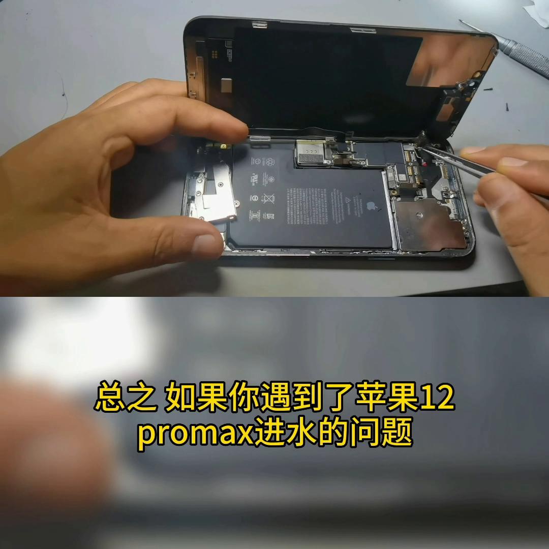 进水苹果手机屏幕变黑了,进水苹果手机发绿