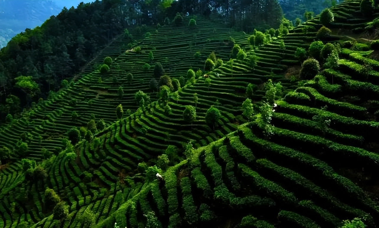 桂林雁山猫儿山,广州出发6天最适宜赏秋旅游