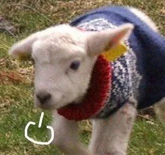 如何合理请假又让老板无法拒绝,有什么请假的理由老板拒绝不了的