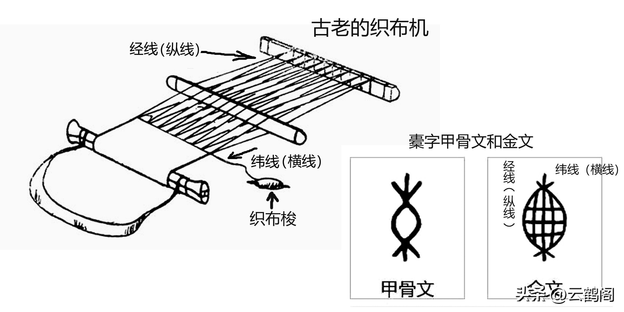 汉字识别数量,汉字探字讲解视频