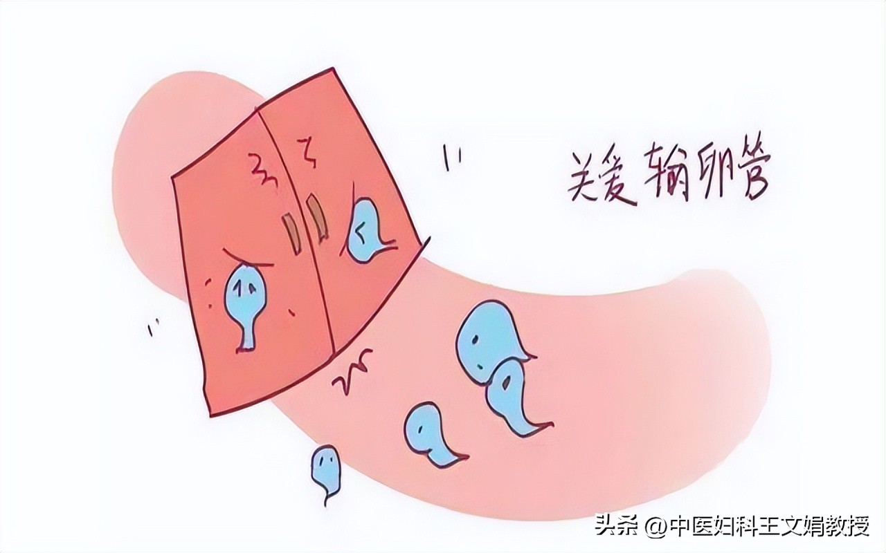 输卵管积水有什么危害,女性输卵管积水怎么治疗最好