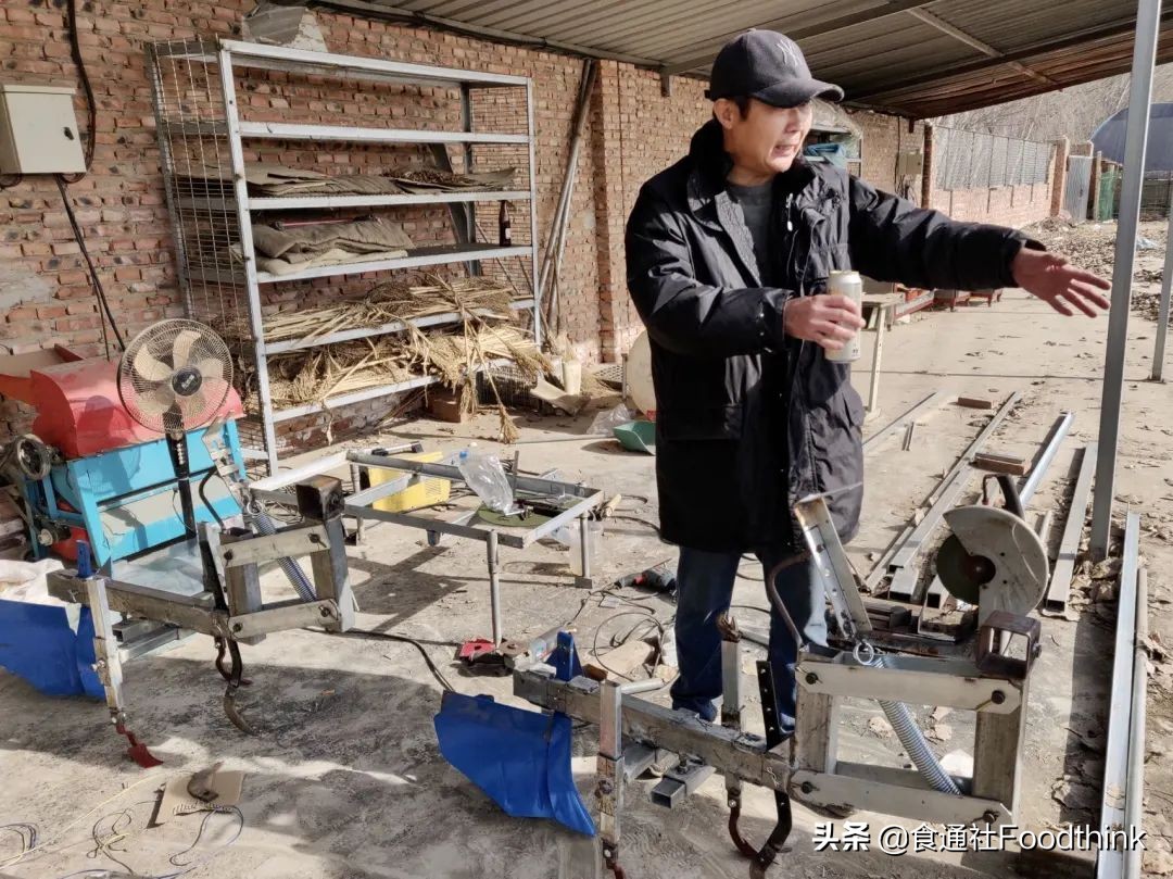 用什么使蔬菜叶片变得绿而嫩,怎么从幼苗辨别各种蔬菜