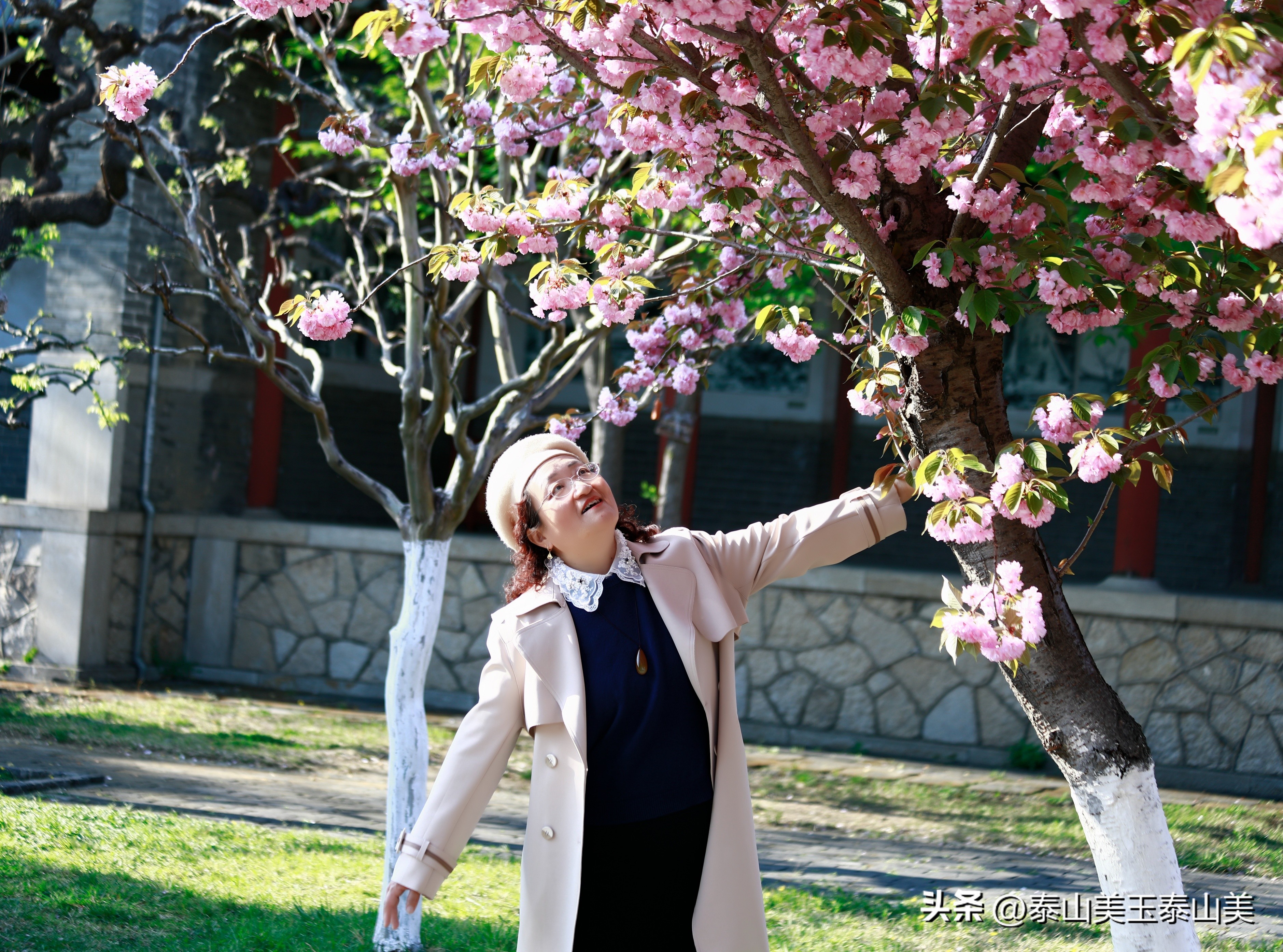 山亭寺沟樱花,定山溪樱花
