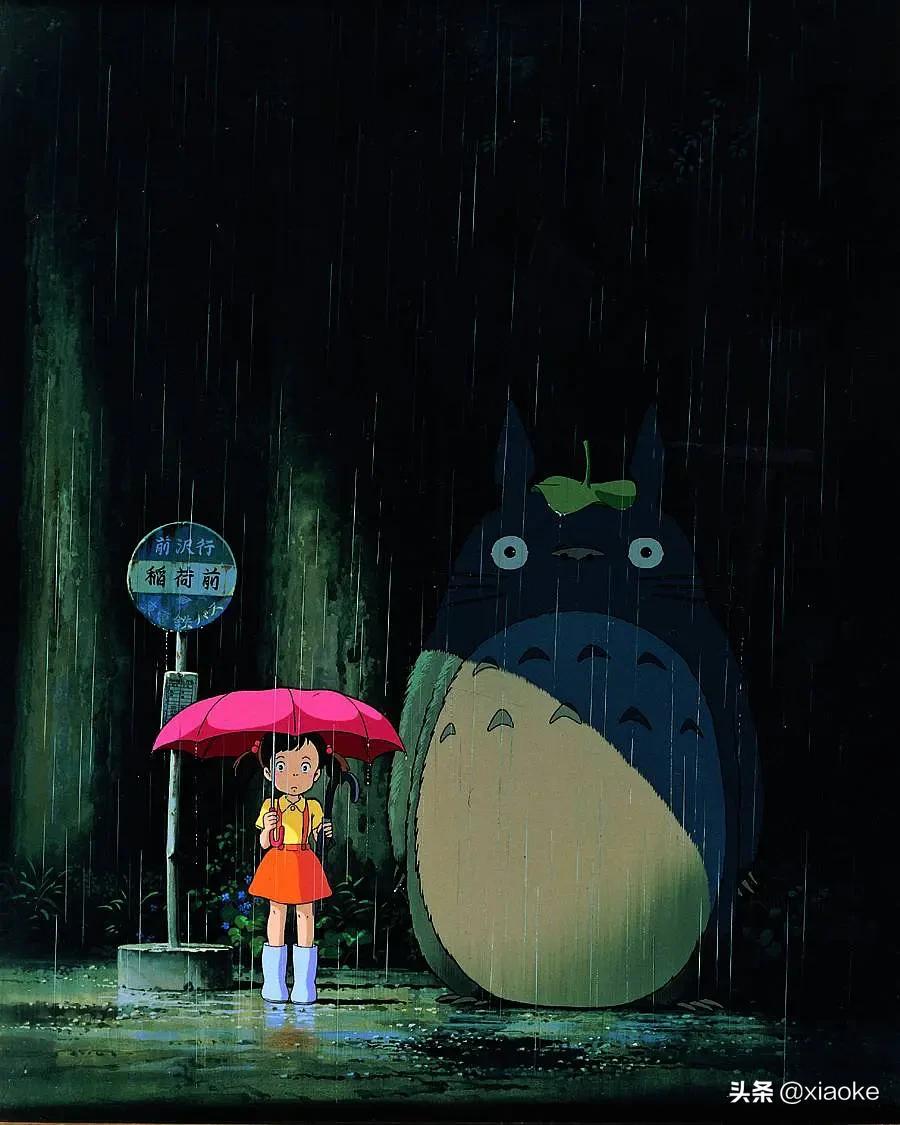 龙猫小梅和龙猫第一次接触的事件,龙猫小梅摸了大龙猫的鼻子