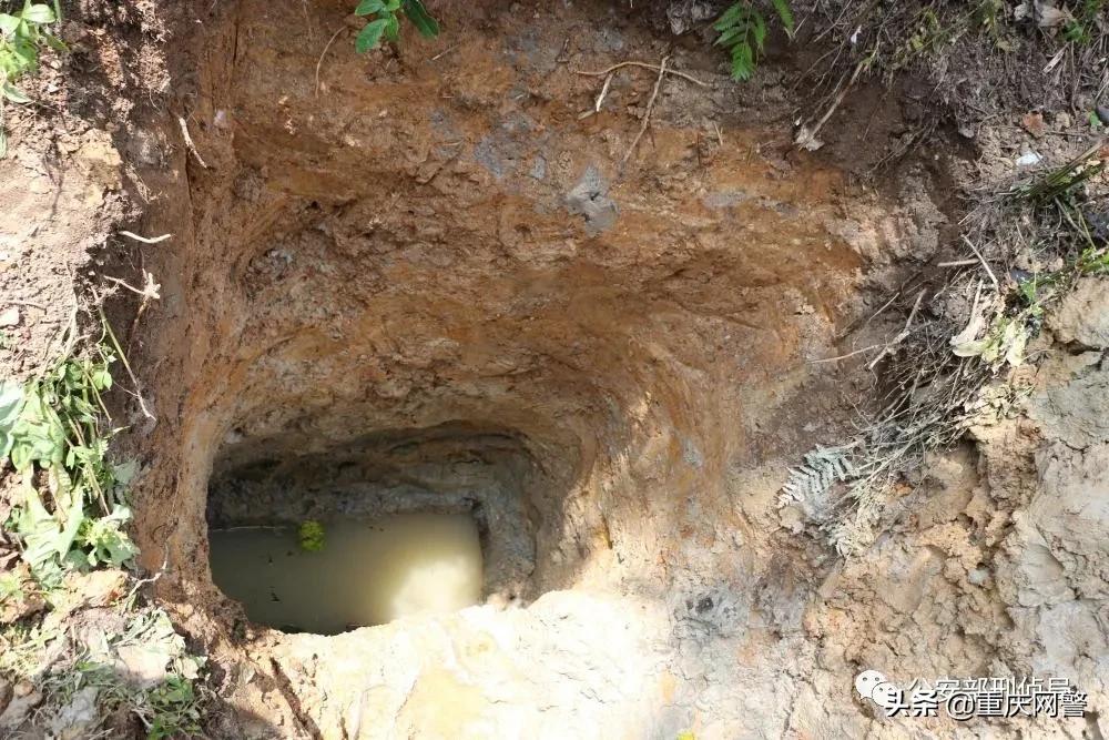 【雷霆出击守护国宝】追回*物文**千余件！这几伙会“法术”懂技术搞学术的盗墓贼落网了