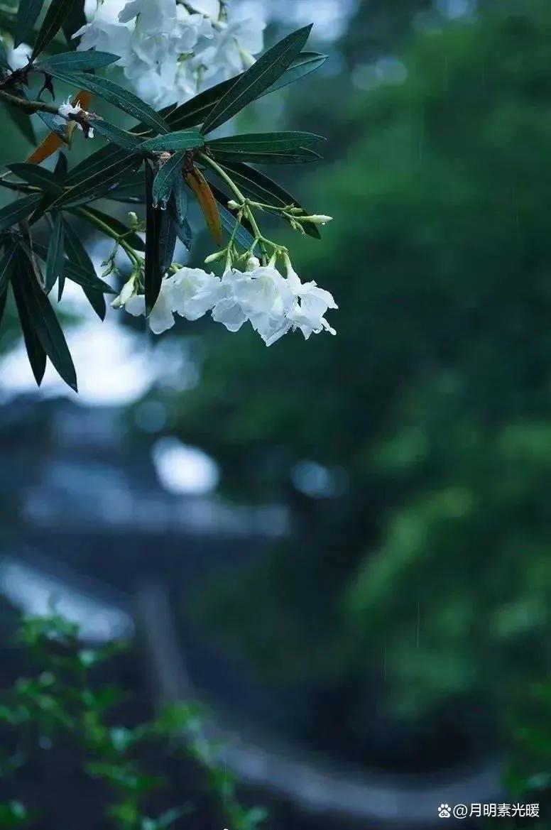 外汇投资的正确方法和技巧,外汇黄金投资最佳方法