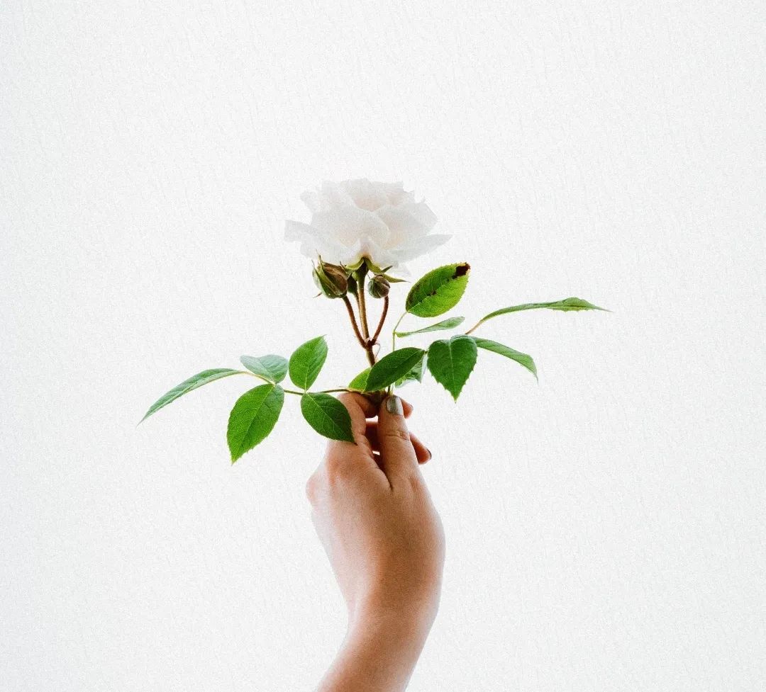 不来月经的几种原因,月经就是不来怎么办