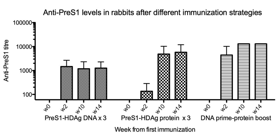 乙肝异源初免-增强免疫疗法,可绕过耐受性,诱导广泛的中和抗体
