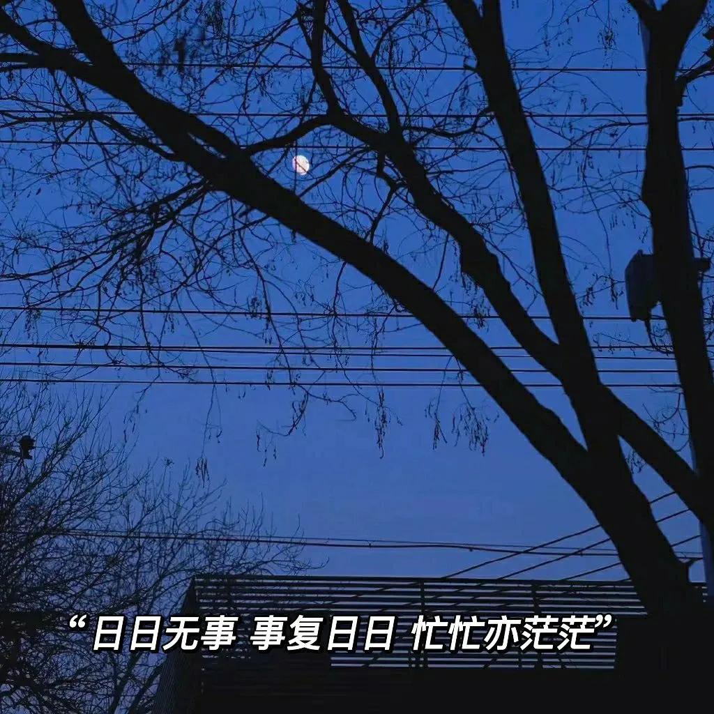 白羊男吃醋后的表现,白羊男故意让女友吃醋的表现