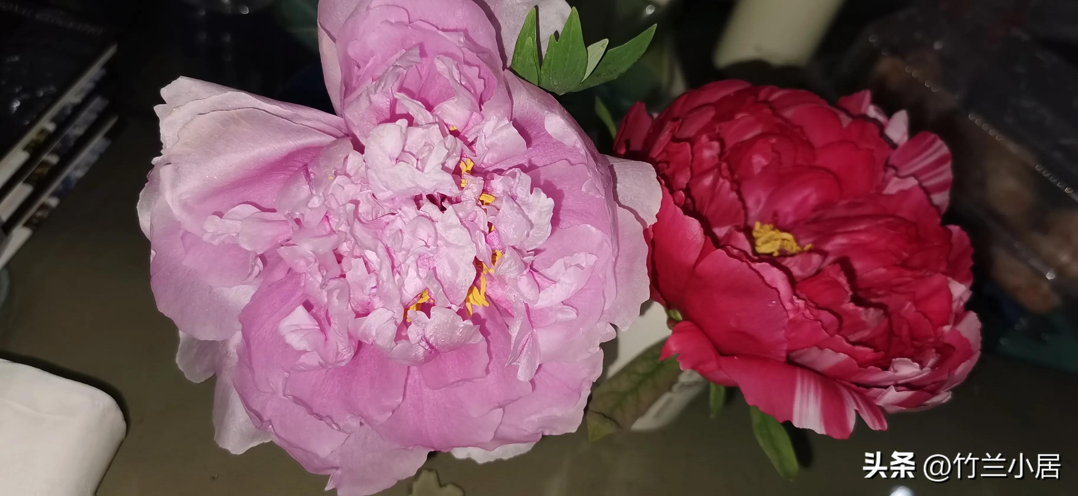 花开满春来,花开满枝春天