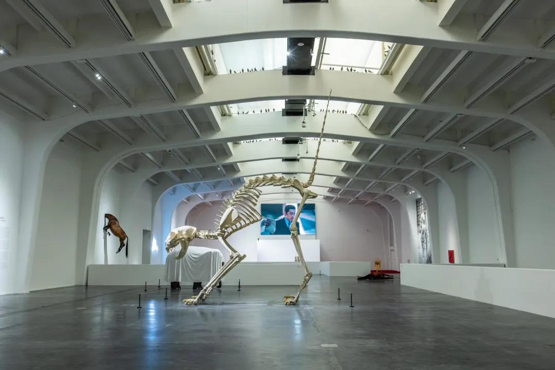 RR·PEOPLE|卡特兰：恶作剧艺术家