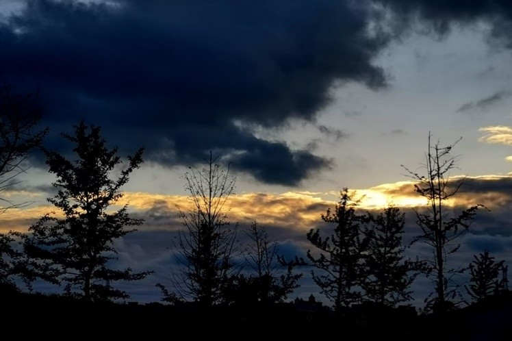 山中医er的“小确幸”